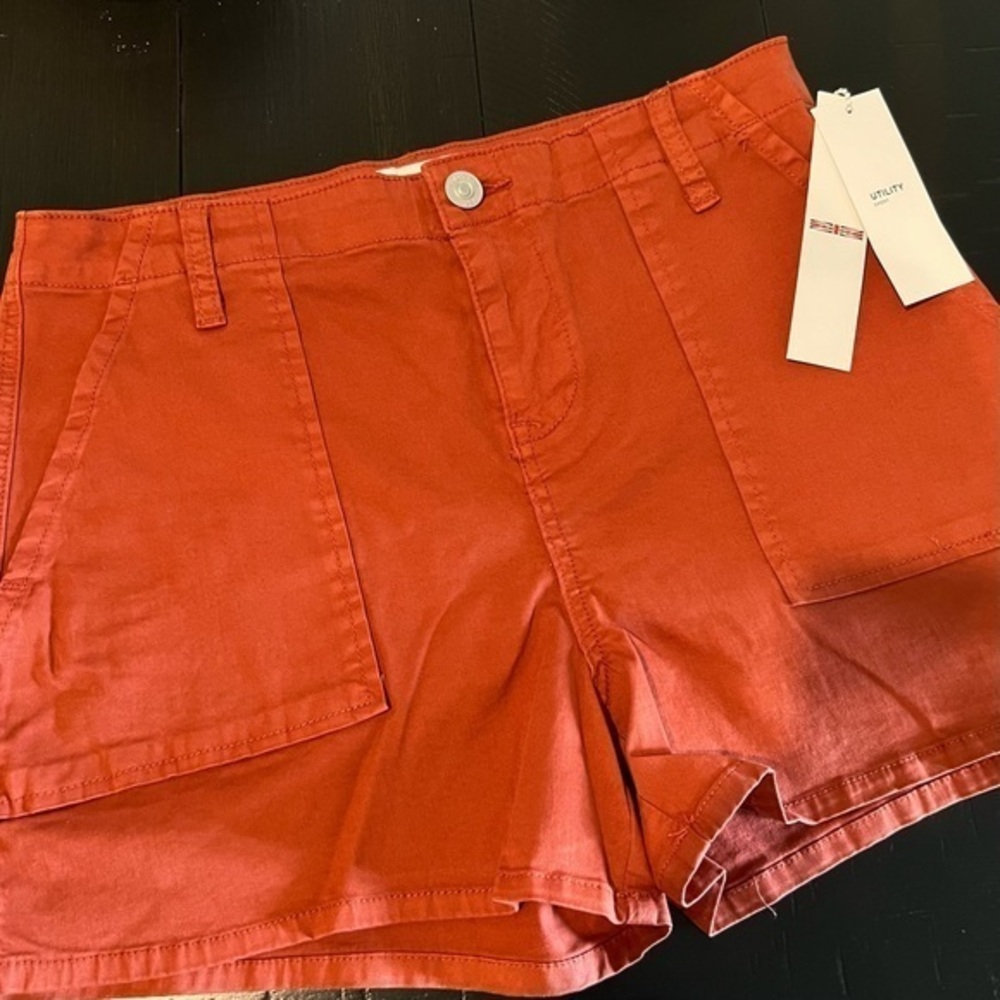 Hudson Utility Shorts, Washed Rust, size 29 NWT
